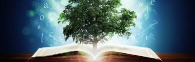 Abstrakcyjna ilustracja przedstawiająca drzewo i książkę.