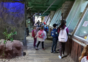 Dzieci w ogrodzie zoolologicznym oglądają zwierzęta