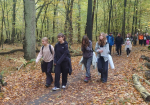 Grupa uczniów spaceruje w lesie