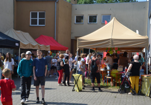 Atrakcje plenerowe