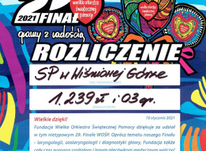 Wielka Orkiestra Świątecznej Pomocy w naszej szkole