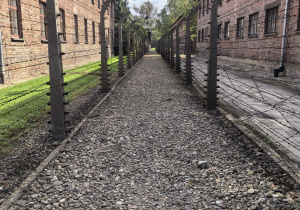 Zdjęcie zabudowań obozu Auschwitz-Birkenau