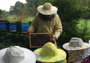 Pszczelarz pokazuje dzieciom ramkę z pszczołami
