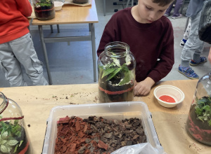 Warsztaty - Las w słoiku - 23.10.2025