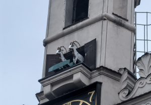 Poznańskie Koziołki