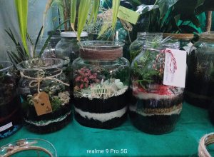 Las w słoiku - wyniki konkursu - 13.11.2025