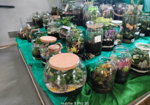 Wystawa prac konkursowych