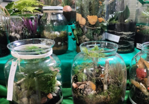 Wystawa prac konkursowych