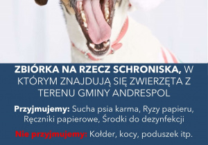Zbiórka na rzecz schroniska "Na 4 łapy".
