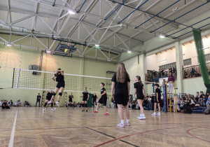 Uczniowie grający w siatkówkę.