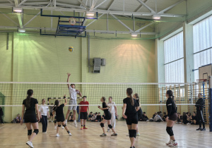 Uczniowie grający w siatkówkę.