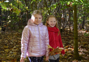 Dzieci zbierające w lesie liście