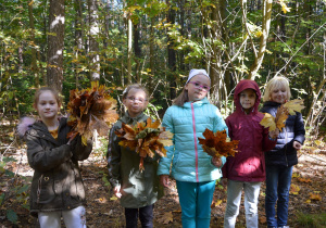 Dzieci zbierające w lesie liście
