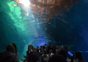Uczniowie w ordodzie zoologicznym