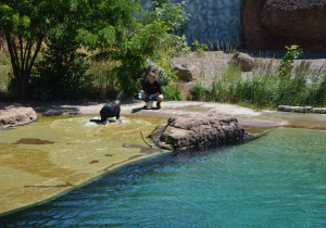 Zwierzeta w ordodzie zoologicznym