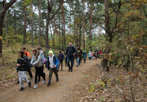 Uczestnicy rajdu spacerujący w lesie