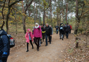 Uczestnicy rajdu spacerujący w lesie