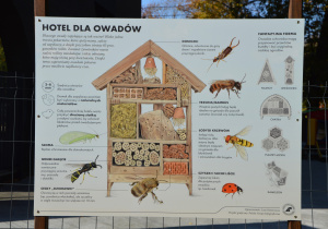 Tablica dotyczca owadów