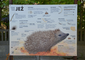 Tablica dotycząca jeży