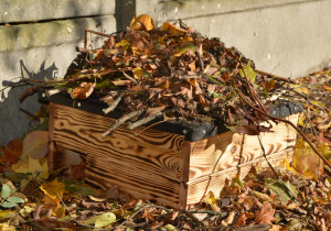 Fragment kącika przyrodniczego