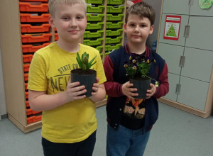 Klasa 1a sadzi wiosenne kwiatki - 2022